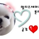 화로굼터 이미지