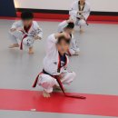 경희대 에이스 태권도장 이미지