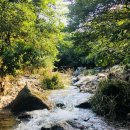 강원민박 이미지