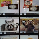 너구리PC방 이미지