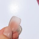 다이소추천템 품질 진짜 좋은 네일팁 투쿨포스쿨 네일팁 후기
