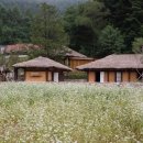 동해소재(주) 이미지