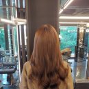 신승원컷앤컷홍대붙임머리 이미지