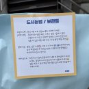 전포 빵지순례 크림치즈빵이 유명한 부산 허대빵 후기