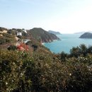 쪽빛나라 이미지