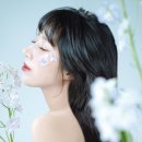 제와이붙임머리