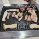 스타펜션 이미지
