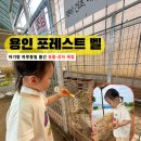 잉어물놀이 화장실 | 용인 아기랑 갈만한 곳｜동물 먹이주기·수확 체험 용인 포레스트 벨 후기