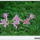 (주)정안 이미지