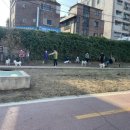피자헛 개봉2호점 이미지