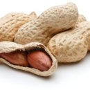 밀라노짐PT 이미지