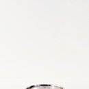 VOLUTE