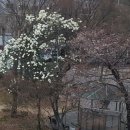 누리전기조명 이미지