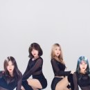 이너멜 이미지