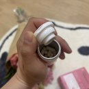 질유산균 효능 리스펙타 후기 트로알엑스 지노 프로바이오틱스 여성유산균추천