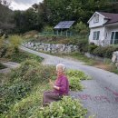 낭만기타 이미지