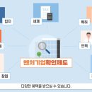 채움벤처스