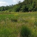 차리농장 이미지