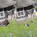 소란농장 이미지