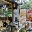 카페키다리 | [경산] 블루베리 빙수가 맛있는 시지 카페 "카페키다리" 후기