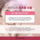 파라디아성형외과의원 네이버블로그