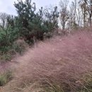 멍 때리는 전망대 이미지