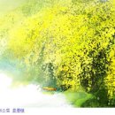 최*락 이미지