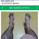 손오 이미지