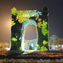 나비,날아오르다 이미지