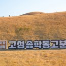 송학동-03 이미지