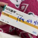 봉구랑 도도 | 일상
