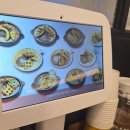 파파보노 이미지