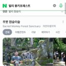 몽키마켓 이미지
