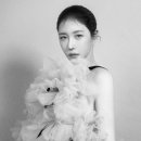 (주)에디뷰티코리아 이미지