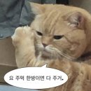 카페그냥 이미지