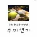 수미연가 이미지