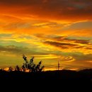 정서네농장 이미지