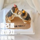 하몽디자인 이미지