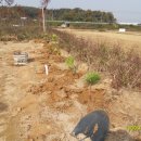 왕창농장 이미지