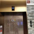 경기도 수원시 영통구 광교호수공원로 이미지