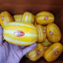 성주 꿀참외 &amp;가야 백자메론&amp;크림슨 포도&amp;흑토마토!!!! 이미지