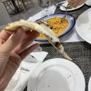 에이치가든 이미지