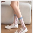 스프링 플라워 이미지