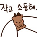 알이디디자인 이미지