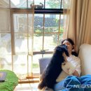 몽글몽글 이미지