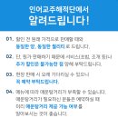 굿바이 썸머 인어교주해적단 초특가 SALE!