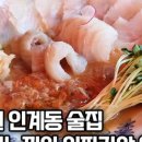 일선(一線) 이미지