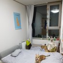 오피스텔 미래지오 이미지