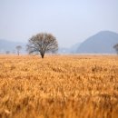 제일투자컨설팅 이미지