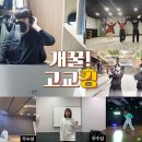 개꿀 이미지